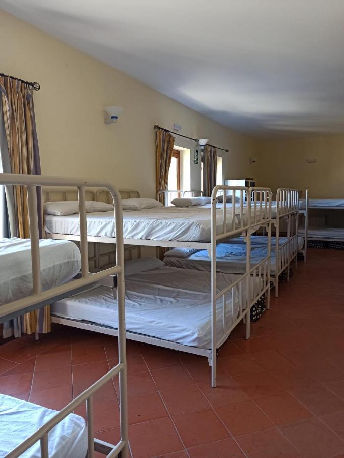 Albergue De Sos del Rey Católico Εξωτερικό φωτογραφία